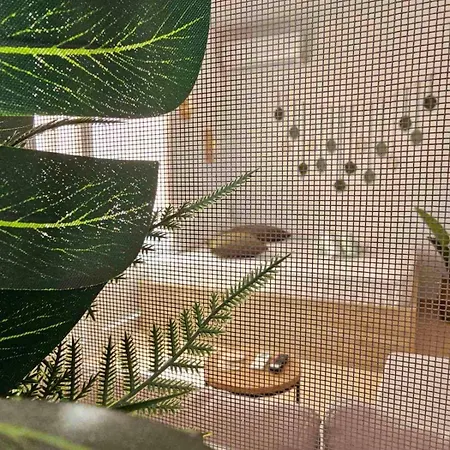 Апартаменты Happy Драма