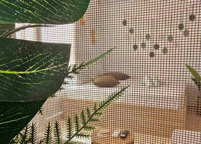 Appartement Happy Dráma